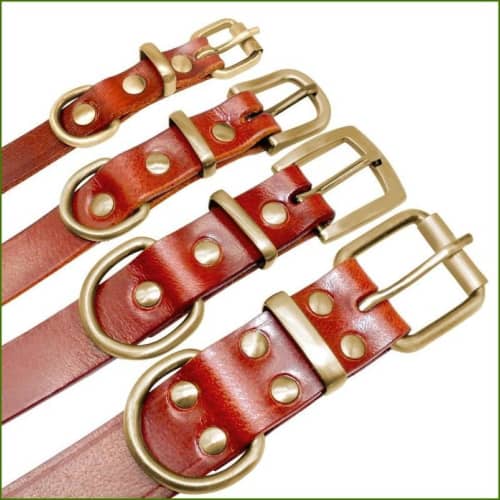 collier en cuir pour chien avec gravure détail des boucles