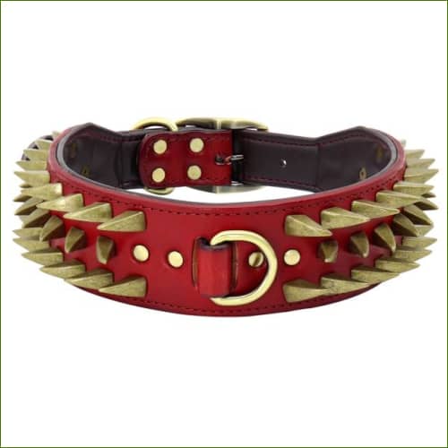 Collier Pour gros chiens En Cuir Avec Pointes Marron / Xl