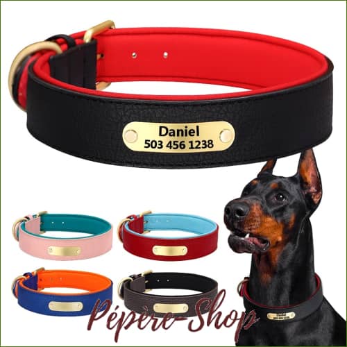 Collier Pour Chien Personnalisé En Cuir De Luxe