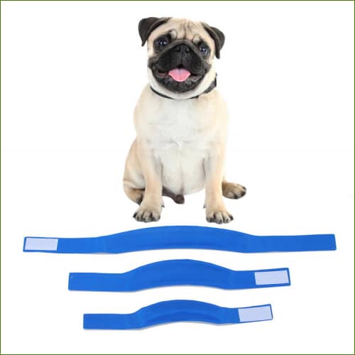 Collier Rafraichissant Pour Chien Cooldog