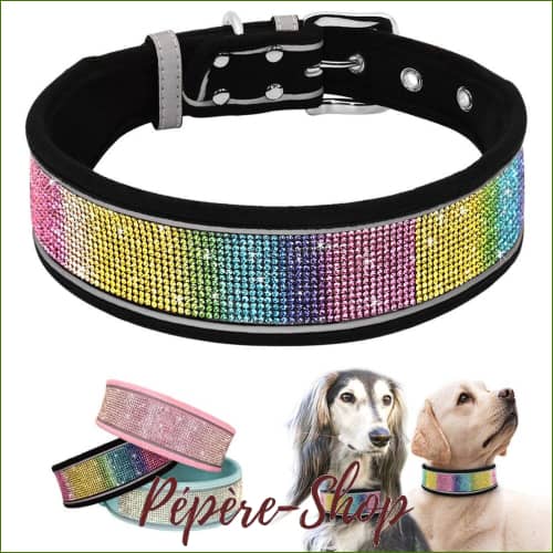 Colliers Larges Réfléchissant pour chien Avec Verroterie Colorée
