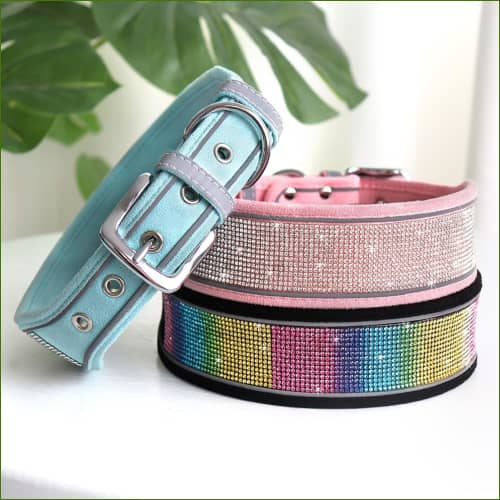 Colliers Larges pour animal de compagnie - vue générale