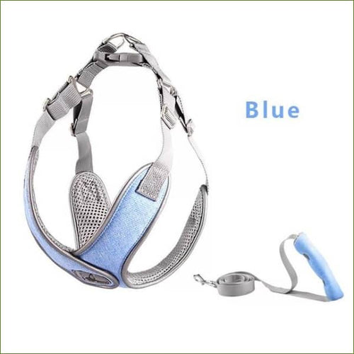 Harnais pour teckel COMFORT X ajustable et confortable - Ensemble bleu / XS-PEPERE SHOP
