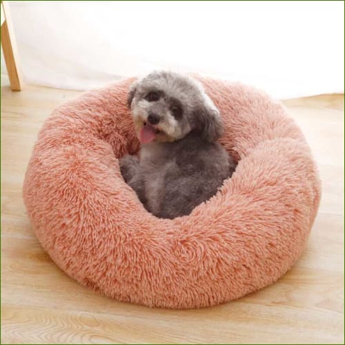 Coussin apaisant pour chien - douillet et anti stress - avec petit chien