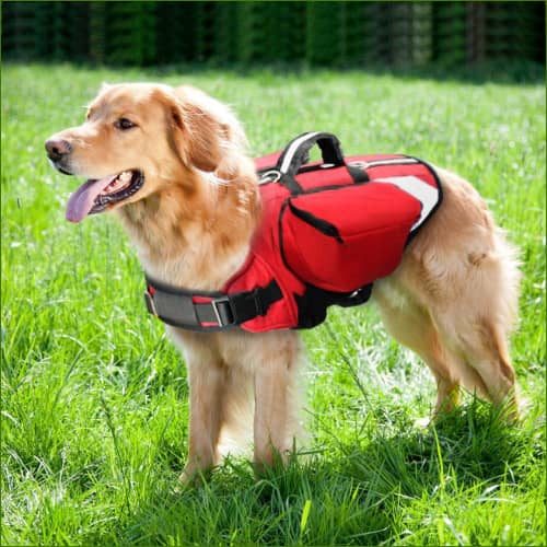 Harnais Avec Poche Pour animal de compagnie