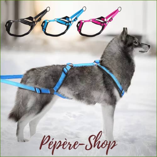 Harnais Canicross Compétition Imperméable En Nylon