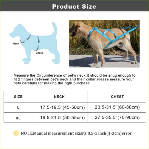 Tailles Harnais Canicross Grand Chien