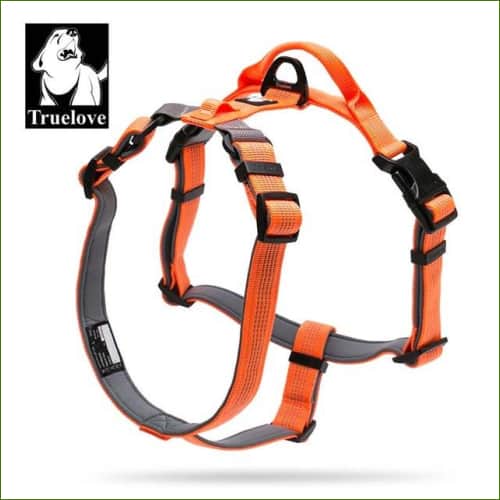 Harnais pour animal de compagnie Orange / L 69-81cm