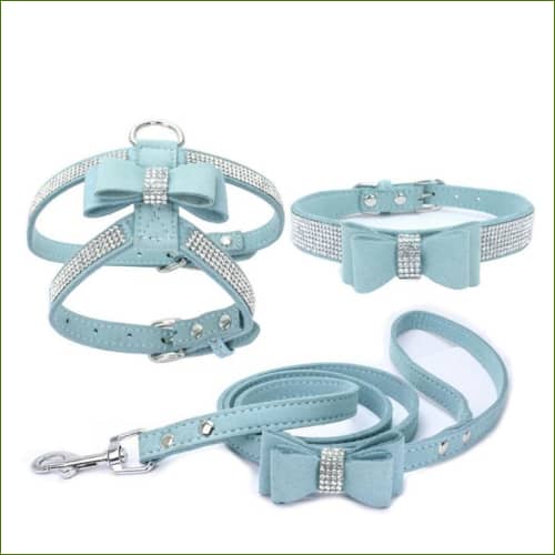 Harnais Collier Et Laisse Pour Chiot Chihuahua Ou Adulte