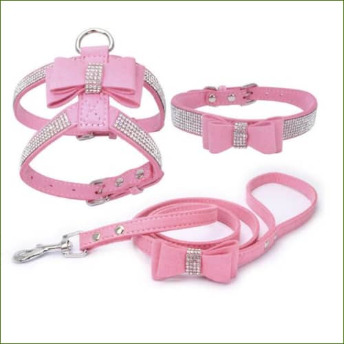 Harnais collier et laisse pour chiot Rose / L