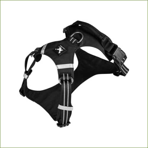 Harnais De Marche canine Avec Sangles ajustables Noir / Xl