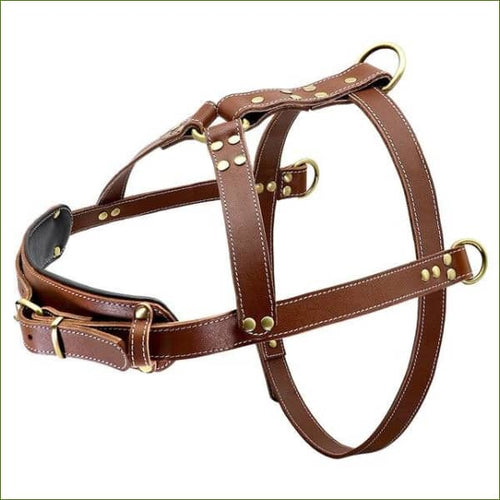 Harnais triple attache - modèle en cuir véritable - Brown / XL-PEPERE SHOP