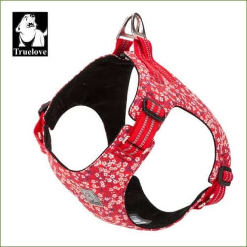 Harnais pour animaux domestiques Poppy Red / Xxs