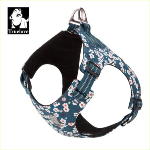 Harnais pour animal de compagnie Saxony Blue / Xxs
