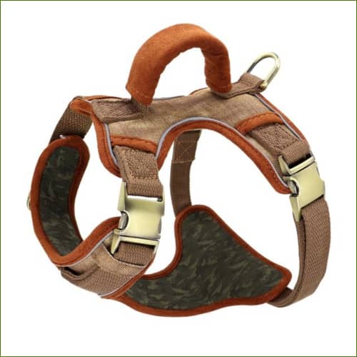 Harnais molosse réfléchissant Marron / S
