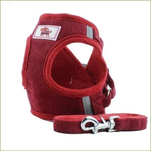 Harnais pour chihuahua - modèle gilet avec laisse - red / XL-PEPERE SHOP