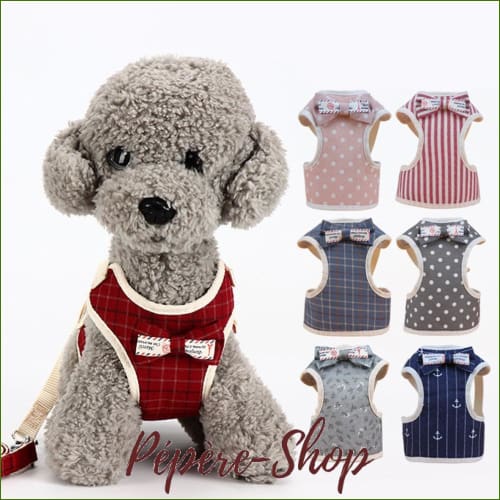 Harnais pour chiot - modèle design - avec laisse assortie - -PEPERE SHOP