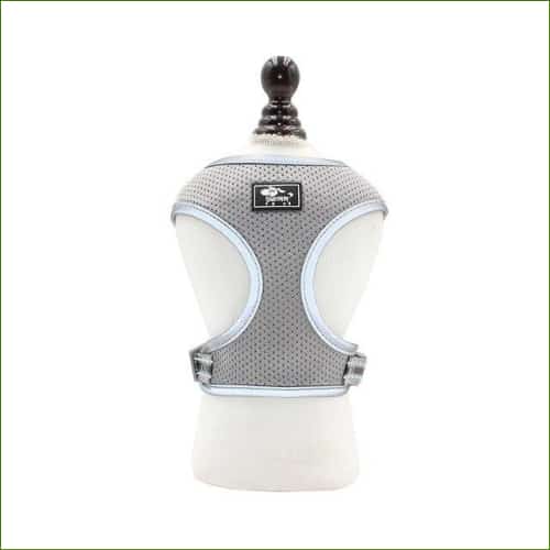 Harnais pour corgi gray / M