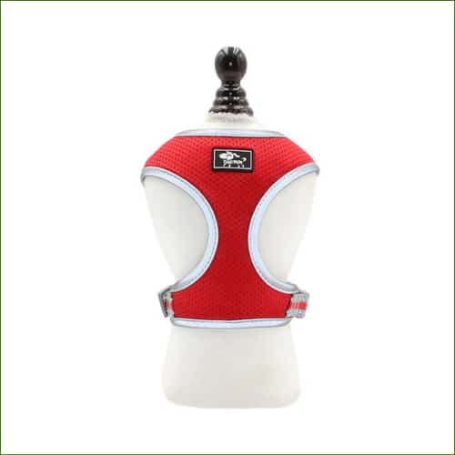 Harnais pour corgi red / XS