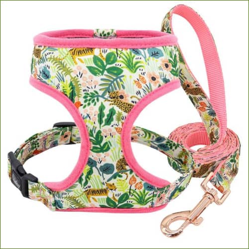 Harnais - rose+laisse / S