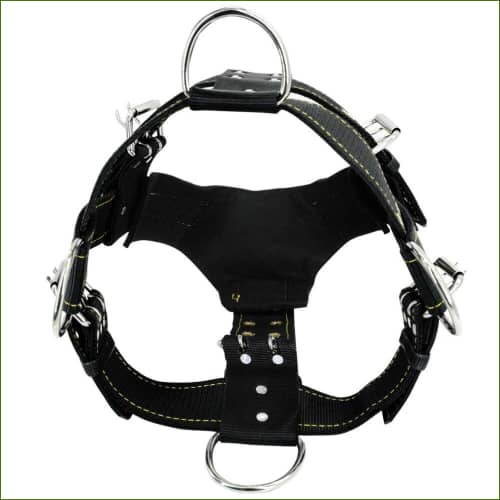 Harnais pour pitbull - harnais de traction et anti traction robuste en nylon - vue de face