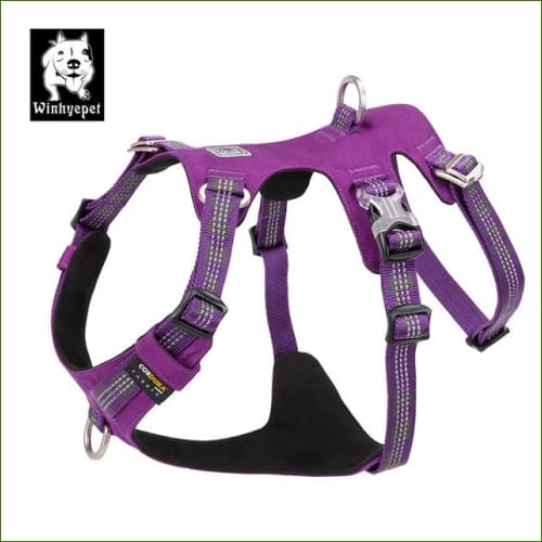 Purple dog harness / XS 33-43cm
