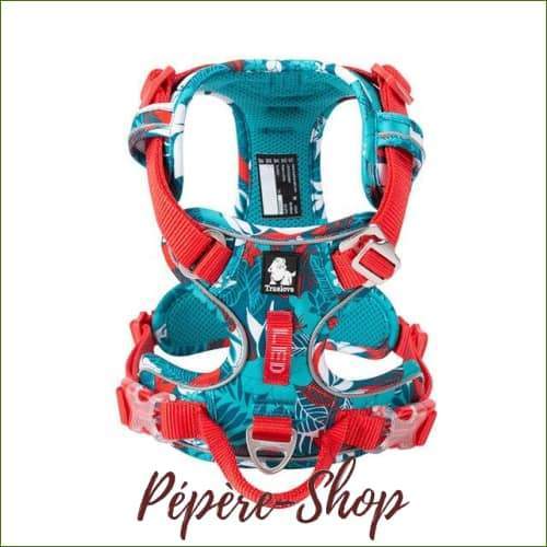 Harnais truelove double attache