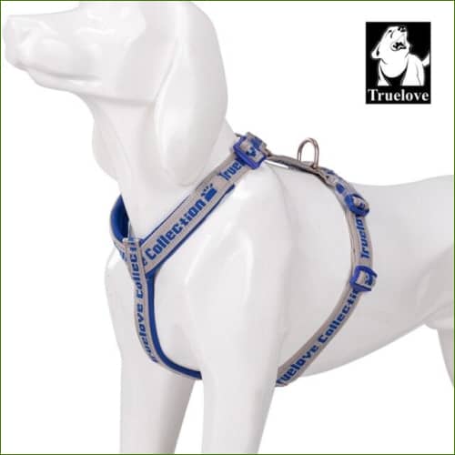 Harnais souple de marche - Bleu Royal / Xl