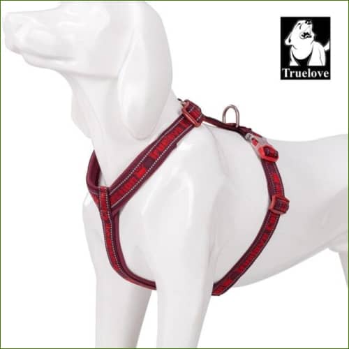 Harnais sport Bordeau / Xl