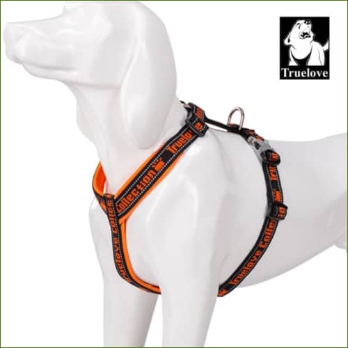 Harnais avec attache arrière - Orange / L