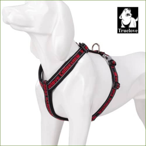 Harnais sportif pour animal de compagnie - Rouge / Xl