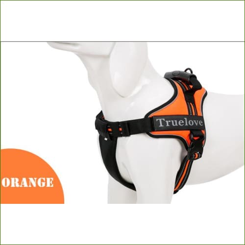 Orange / XXL-Chest 82-115CM