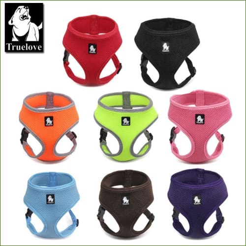 harnais petit chien coloré