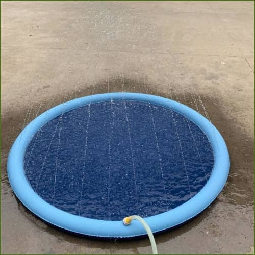 Jeu Deau Pour Chien - Arroseur Gonflable avec tuyau