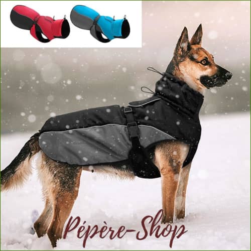 K Way Pour Chien Grande Ou Petit Taille Réfléchissant Impermeable