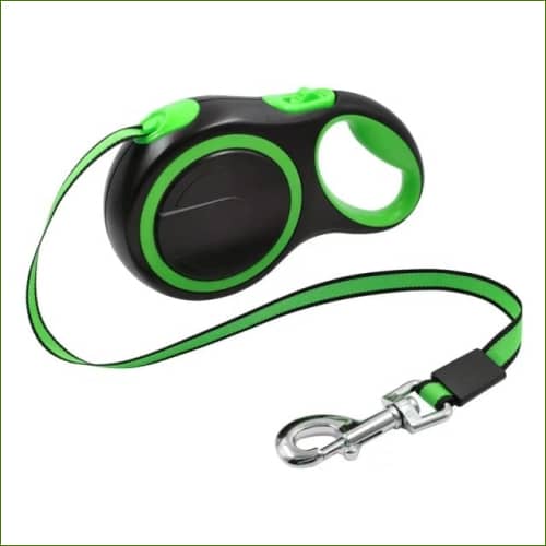 Laisse Pour chien Rétractable Vert / 5M