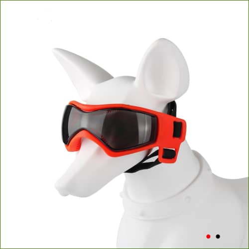 lunettes gros chien et molosse