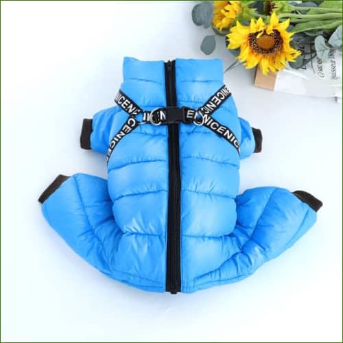 Combinaison 4 pattes Bleu / 10