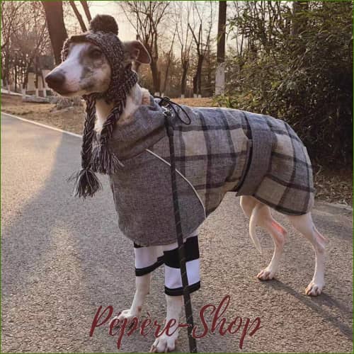 Manteau À Carreaux Style Écossais Pour Chiens Lévriers