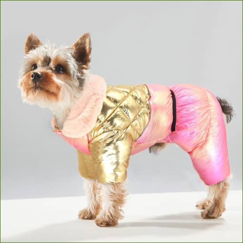 manteau pour chien