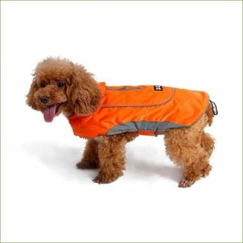 Manteau moyenne et grande taille pour chien orange / XS