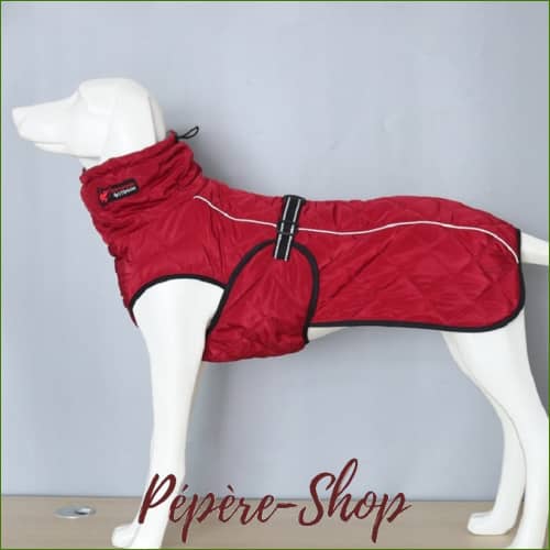 Manteau Pour Chien Staffie - Chaud Et Chic
