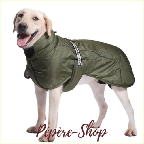 Manteau Pour Golden Retriever - Imperméable Avec Capuche Manteau Grand Chien
