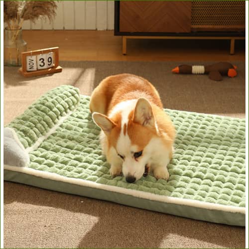Matelas Mémoire De Forme Pour Chien