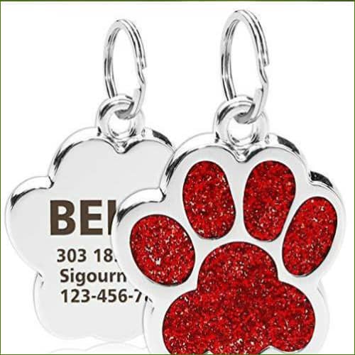 Médaille Gravée Pour Chien - Modèle Design De Luxe Rouge / L