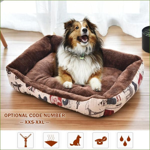 en situation avec un grand chien