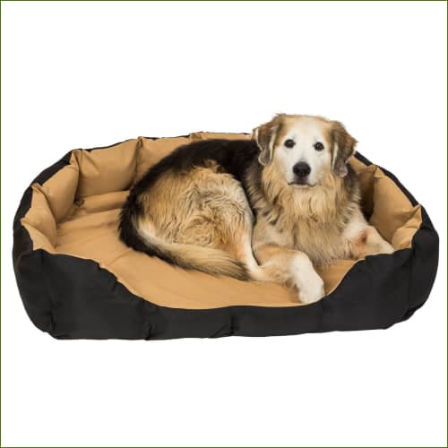 Panier pour labrador - confortable, avec coussin et tapis - en situation