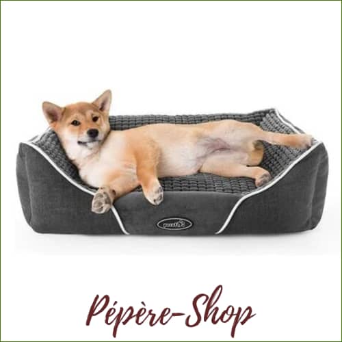 Petdream: Panier Pour Beagle Chiot Ou Adulte - Imperméable Et Douillet Gris / S-53X43X18Cm Panier