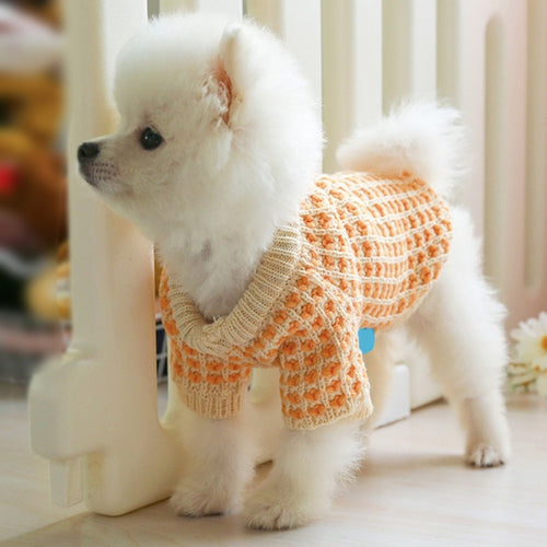 Pull pour chien chaud en coton, tricot orange d'hiver