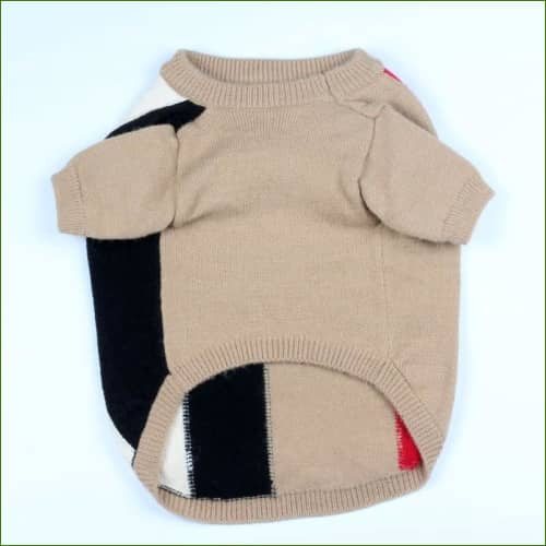 Pull Bouledogue Français Chic Et Stylé vue de dessous